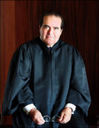 Scalia Scalia