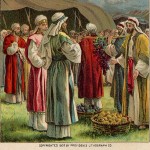 Shelach 5771 — Miracles and Wonders
